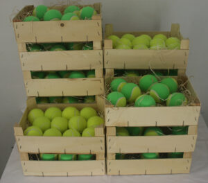 Yuzu amarillo y verde